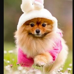 Meet your Posher, Kimbo